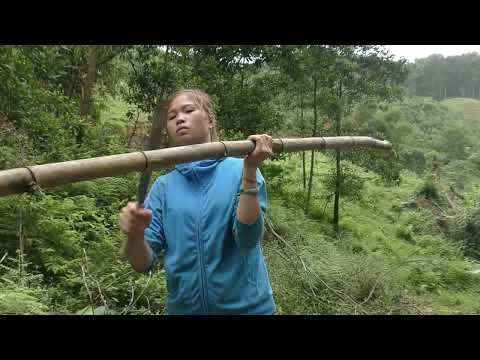 Top Videos Pump fishing technology Hunting wild fish