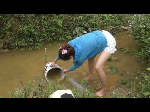 Exciting wild fishing catch water pump fish from wild lake