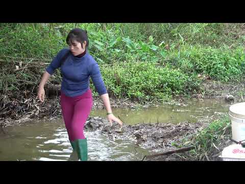 Very İnteresting Fishing The Girl Use A Large Capacity Pump