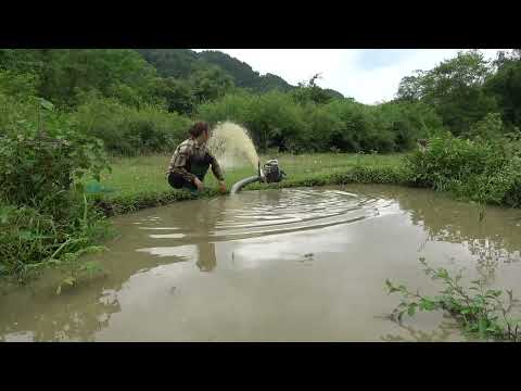 Hunting Wild Fish Pumping Water From A Deserted Lake When
