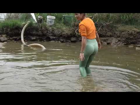 Fishing Video The Girl Use Cannon Pump Sucks Water Catch