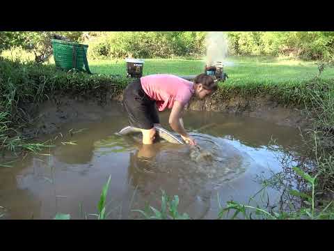 Wild Fishing Skills Fishing Exciting Use Powerful Pump