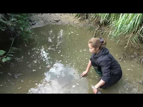 Unique way of catching fish Pump fishing technique Survival