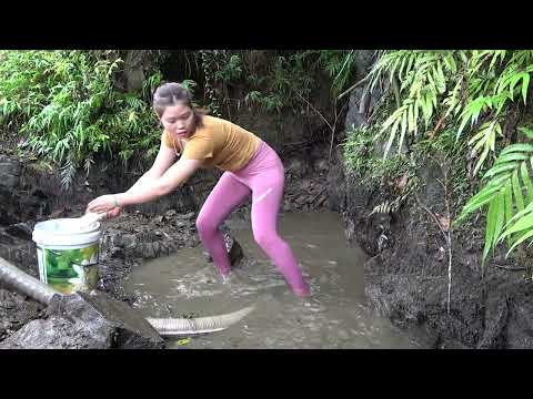 The Most Effective Fishing Method Lucky to Catch a School