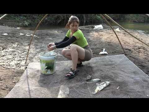 Amazing fishing How to catch fish in the stream catching a