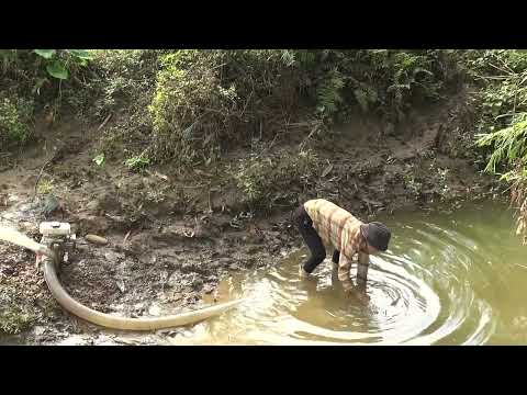 Hunting wild fish Using a pump pumping water outside the