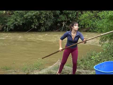 Fishing Skills Traditional Fishing with Nets How to Creates