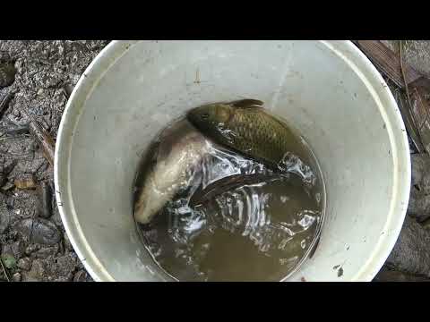 Fishing techniques Unique fishing Pumping water outside the
