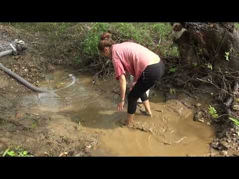 Hunting wild fish Caught many fish stranded in the lake