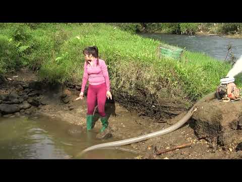 Using smart pump The girl has harvested a lot of carp to