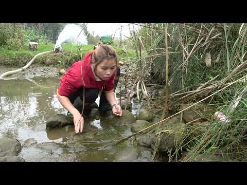 Survival skills Unique fishing Pump fishing technology