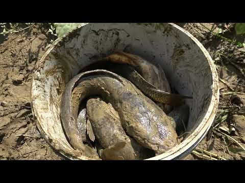 Full videos Fishing Techniques Amazing fishing video Wild