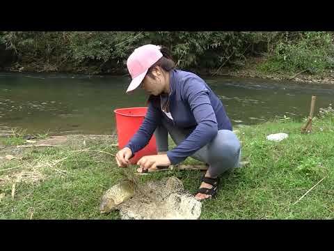 Great Fishing Techniques How To Trap Stream Fish and