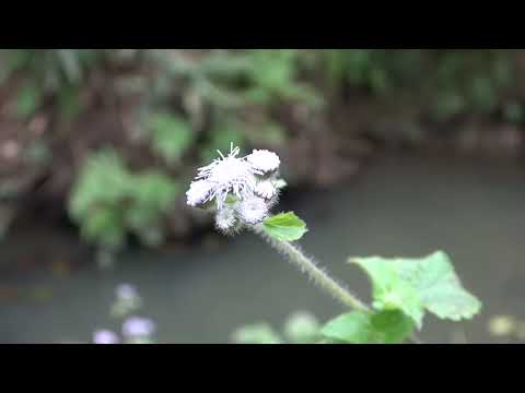 Top videos Fishing Video Fishing technology Unique fishing