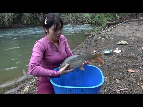 Full Videos Interesting Fishing in River and Lakes Catching