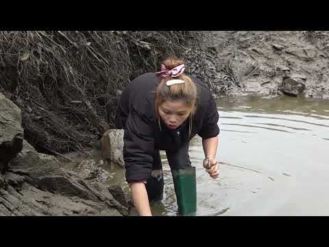 Top Video Pump fishing technology How to create fish traps
