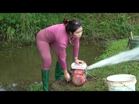 Full Video Girl s Skills Catch Big Fish Fishing Alone on