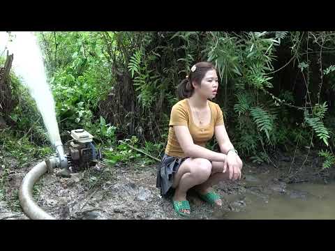 Greatest Fishing How To Catch Fish In The Wild Catch a Lot