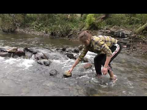 Wild Fishing wild fishing tips Stream fishing techniques