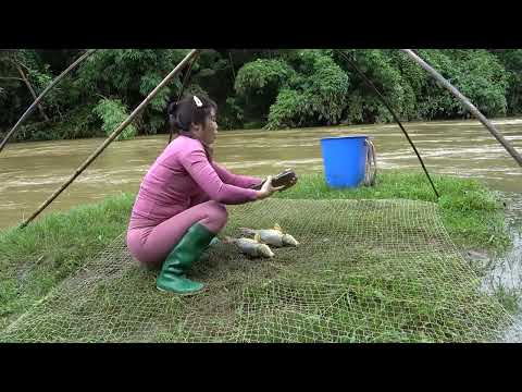 Full Video How To Catch Fish on Rivers and Lakes