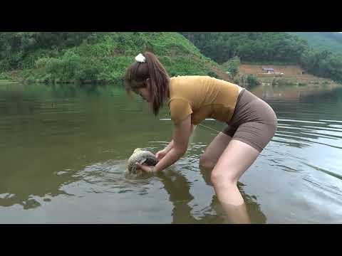 Fishing Techniques Making Fish Traps Catching Many Big Fish