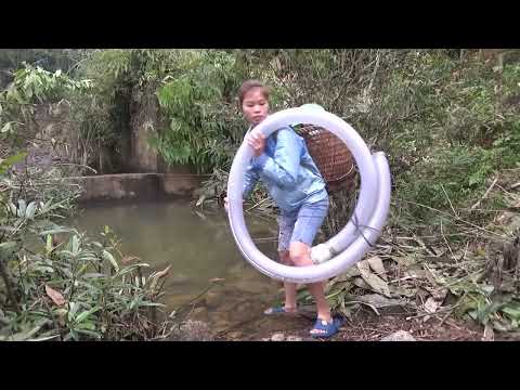 Full Video Fishing techniques survival in the forest traps