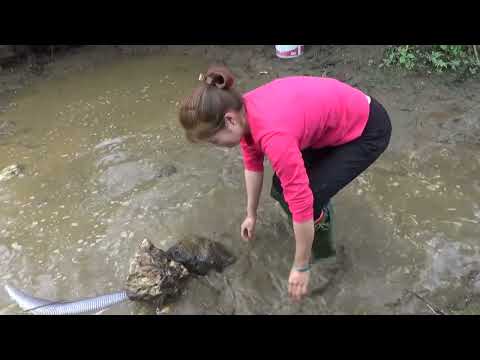 Hunting wild fish Using pumps pumping water outside the