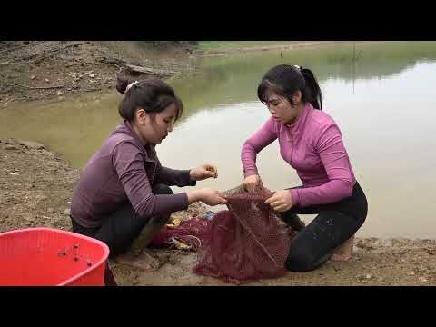 Interesting Fishing Technique Pulling The Net To Harvest