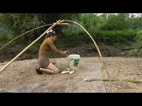 Fishing Techniques Traditional Net Fishing Using Good Bait
