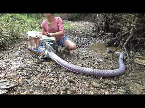 Catch fish Using pumps pumping water outside the natural