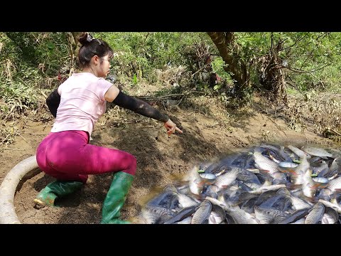 Unique Fishing Video Survival Fishing Smart Girl Fishing