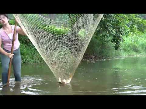 Traditional Fishing with Bamboo and Fishing Net in River