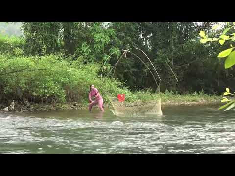 How to Catch Big Fish Best Net Fishing Video Traditional