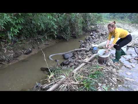 Fishing amazing Pump fishing technology catch big fish in