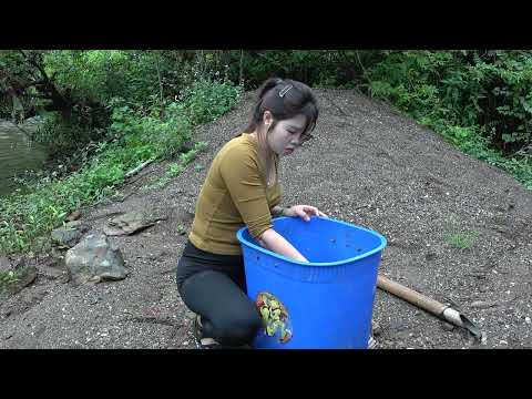 Traditional Fishing How To Trap Stream Fish and Traditional