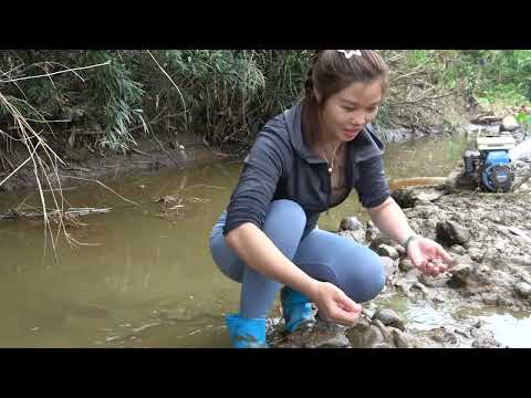Fishing Girl How to Fishing From Puddles Use Motors to Suck