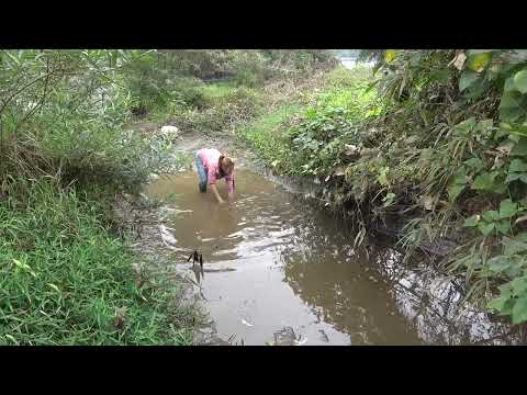 Survival Fishing Unique fishing Pump fishing technology