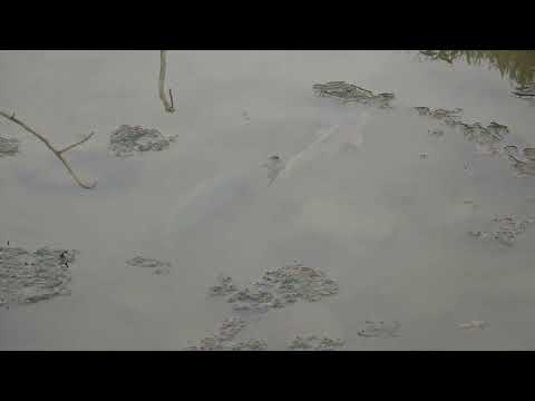 Top Fishing Videos Best Fishing Skills Amazing Fishing