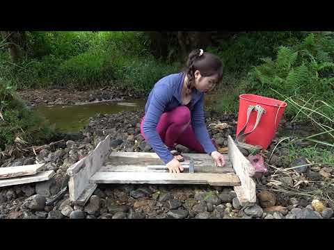 REWIND TIMELAPSE Young Girl s Fishing on Rivers Creat Traps
