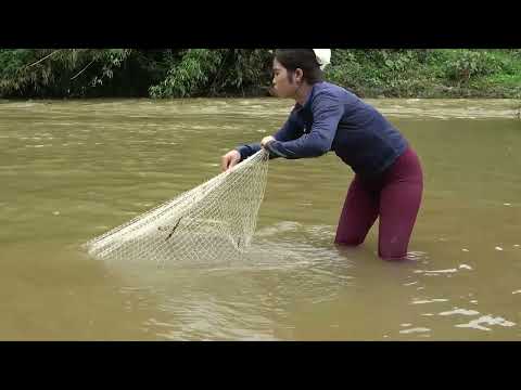 Traditional Fishing by Pulling Casting Nets Used Bait to