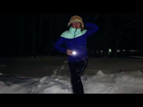 Night Skating in Winter Forest Living Nature Life