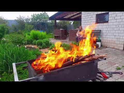 BBQ in the backyard with family