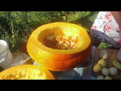 Pumpkin in Russian Village granny old stove
