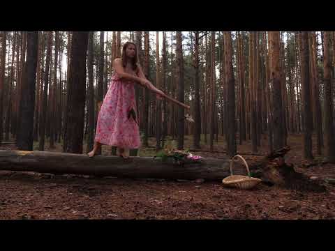 Mysterious Wild Forest Secrets