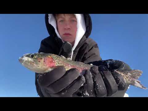 Minnesota Trout Opener 2022 Catch and Cook