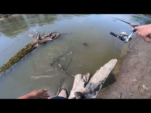 SO MANY BIG FISH AT MY FEET Can I Catch Them P 2