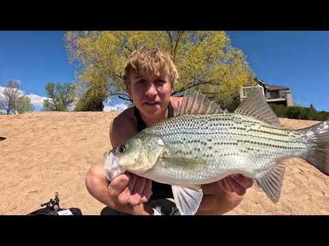 We Got KICKED OUT Fishing a Private Golf Course Pond