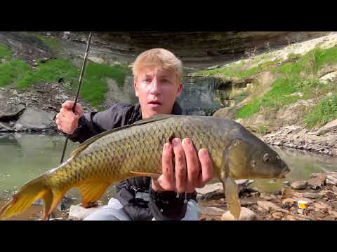 SIGHTFISHING Fish TRAPPED Under Minnehaha Falls Need Rescue