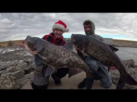 Winter Car Camping for Americas Most INVASIVE Fish