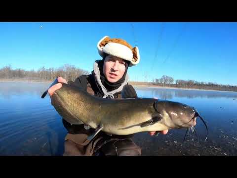 Nuclear Power Plant Fishing for Monster Catfish